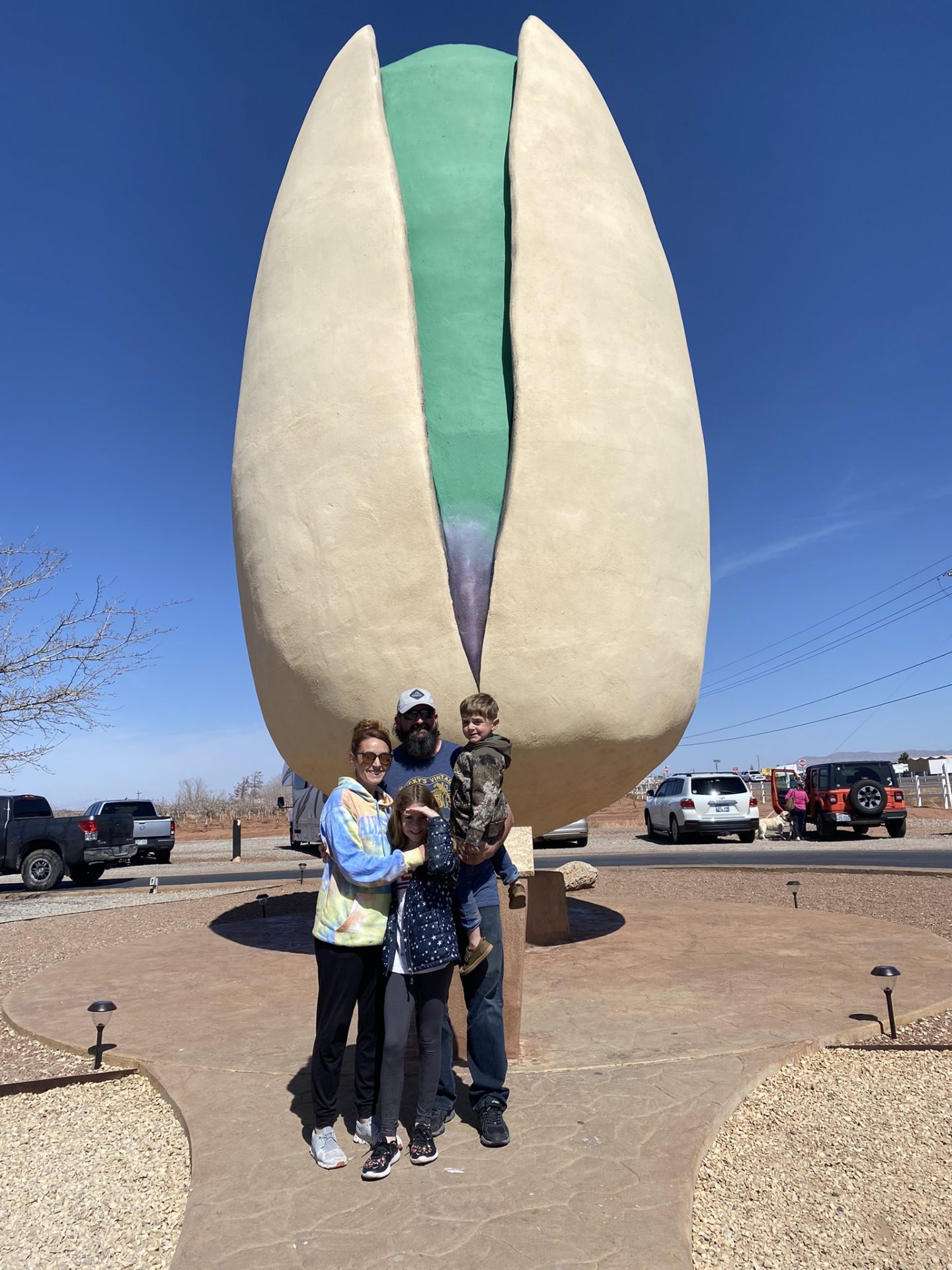 world's largest pistachio