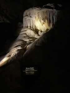 whales mouth flowstone formation carlsbad caverns