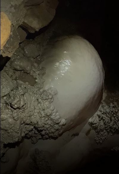carlsbad caverns cave pearl