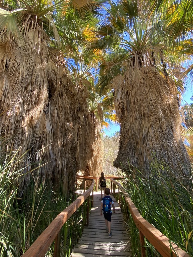 boardwalk at Thousand Palms Oasis in Palm Springs