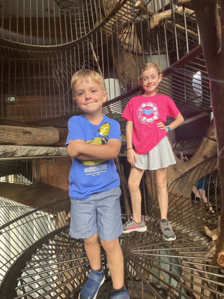 kids in treehouse of city museum