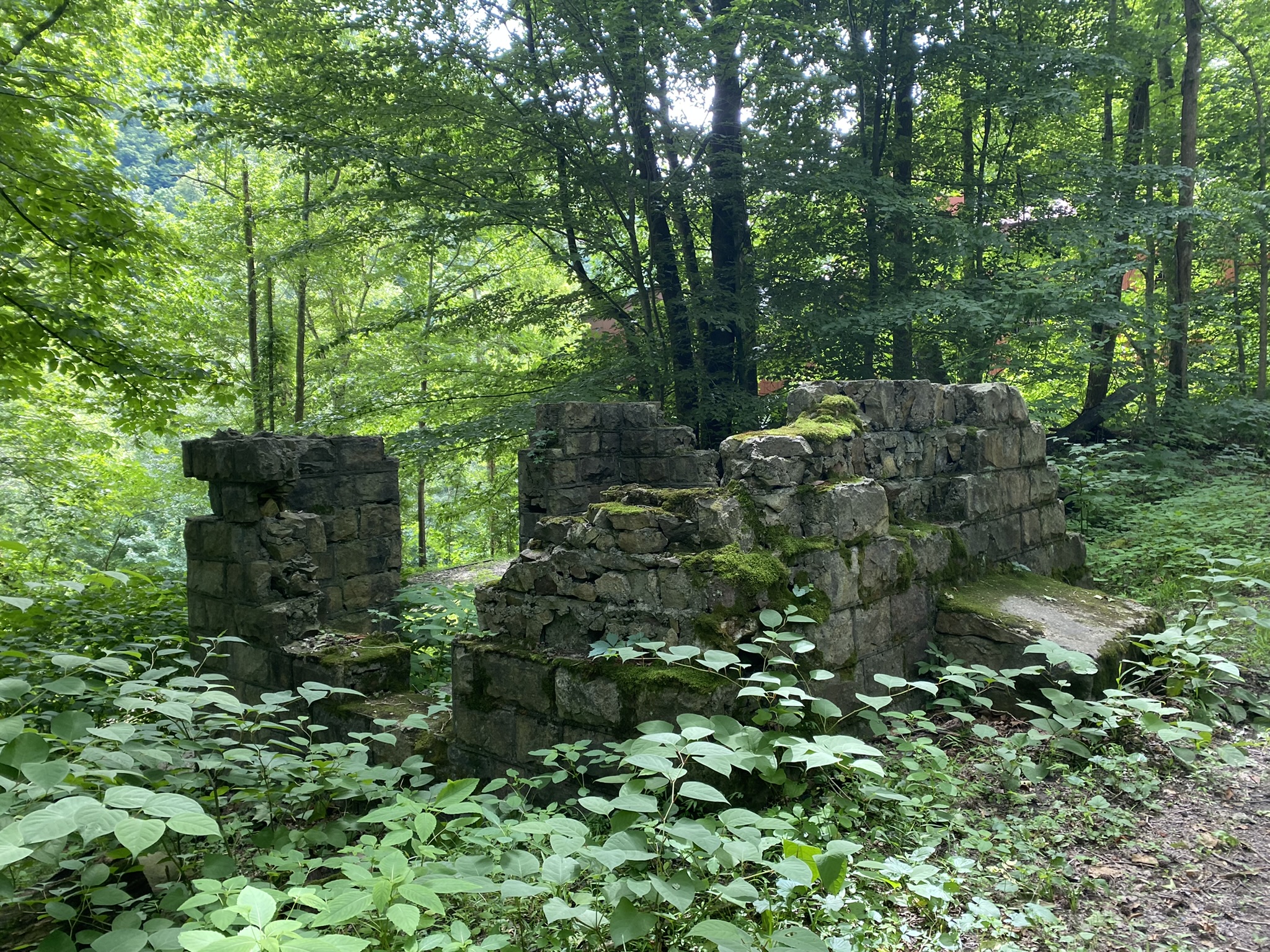 nuttallburg ruins