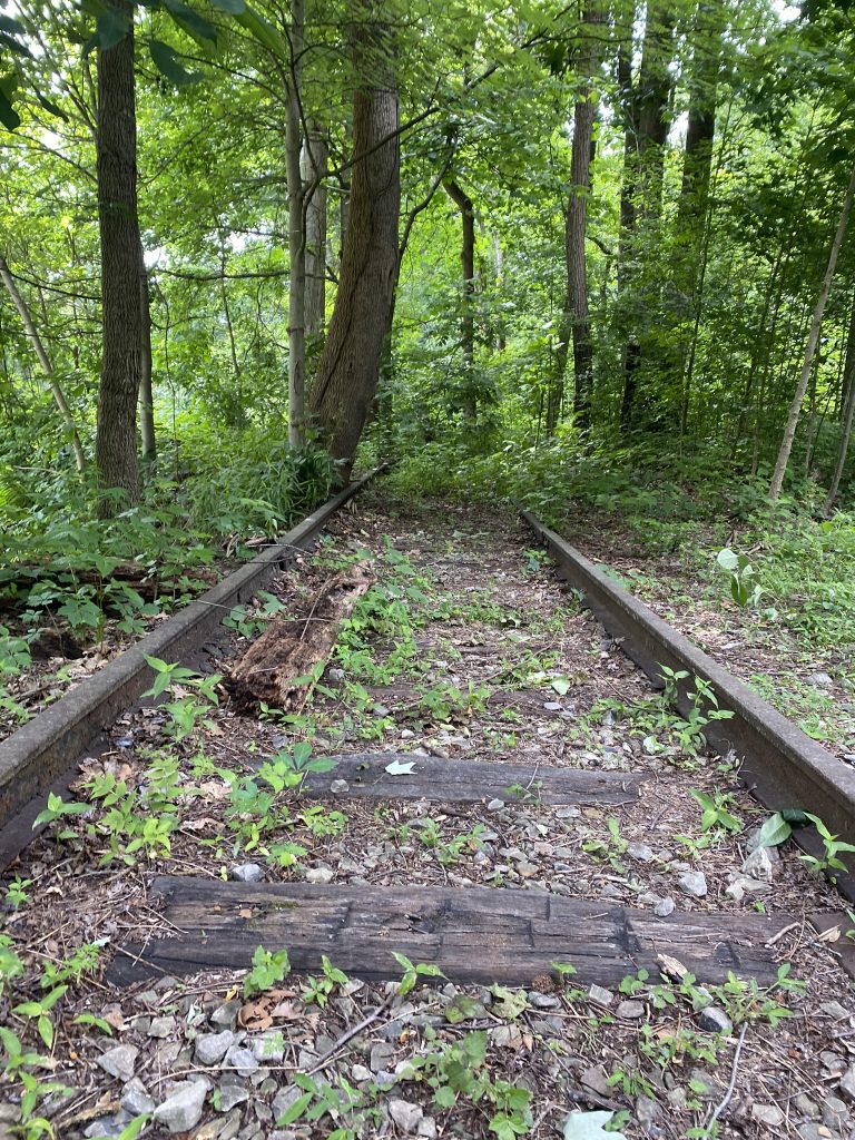 Nuttallburg tracks