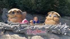 Dollywood owls