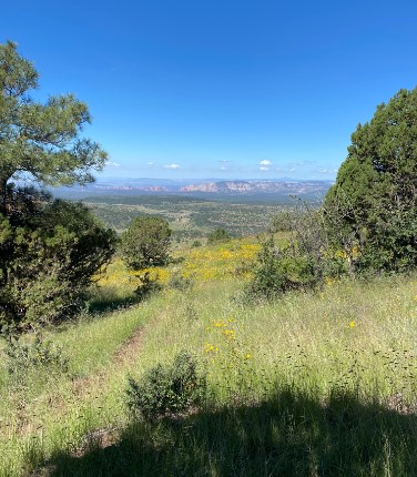 stoneman lake road az