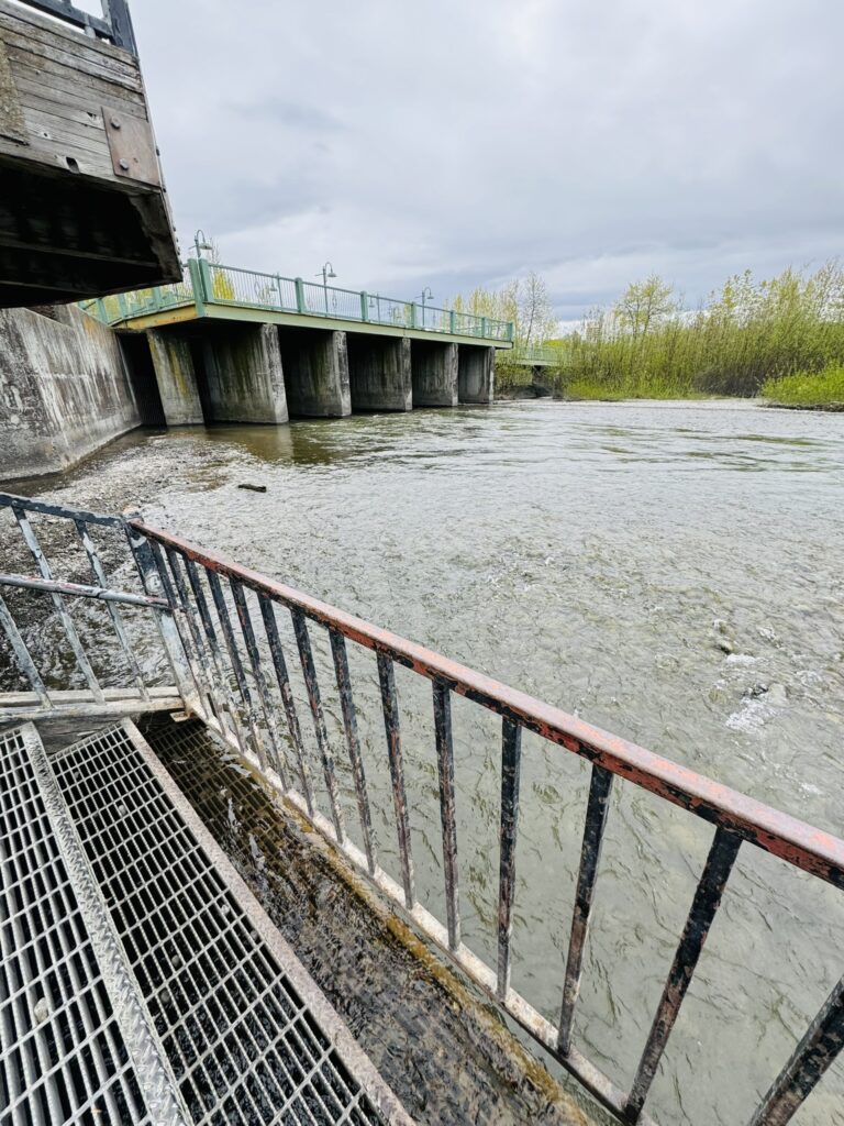 fishing bridge at ship creek anchorage