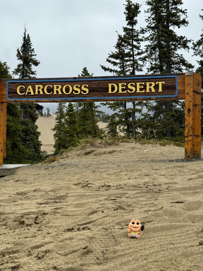 baby dino at Carcross desert