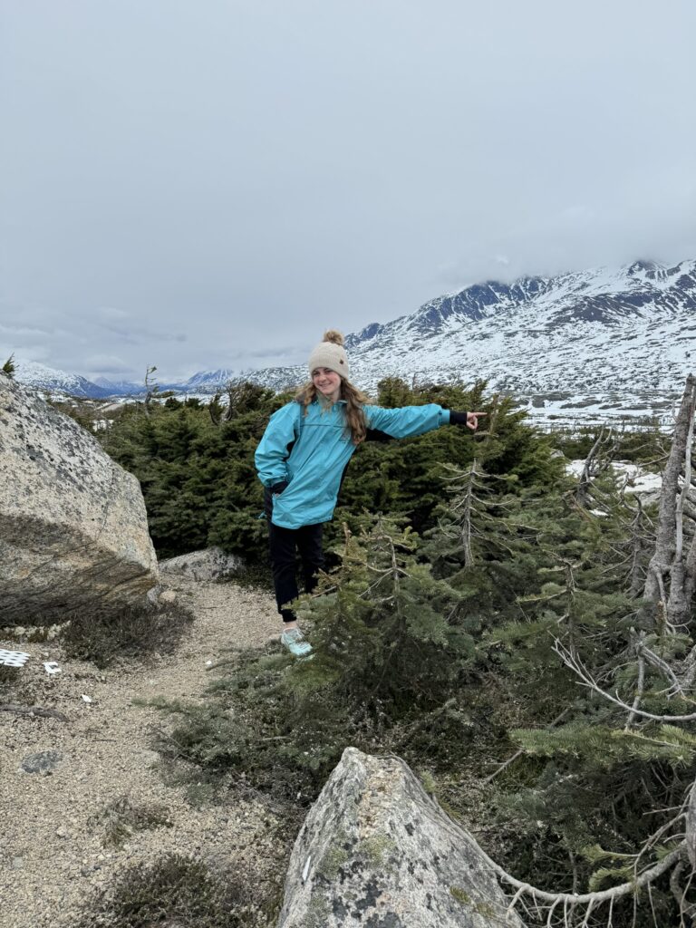 small trees in Tormented Valley